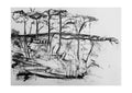 Kunstkaart "Bomen zwart wit"